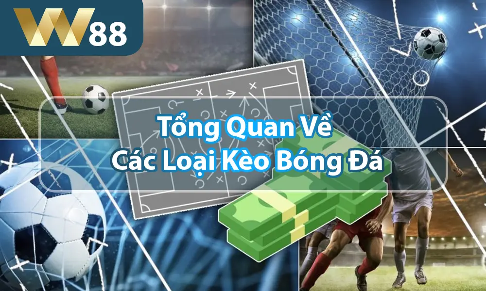 Tổng quan về các loại kèo trong cá độ bóng đá